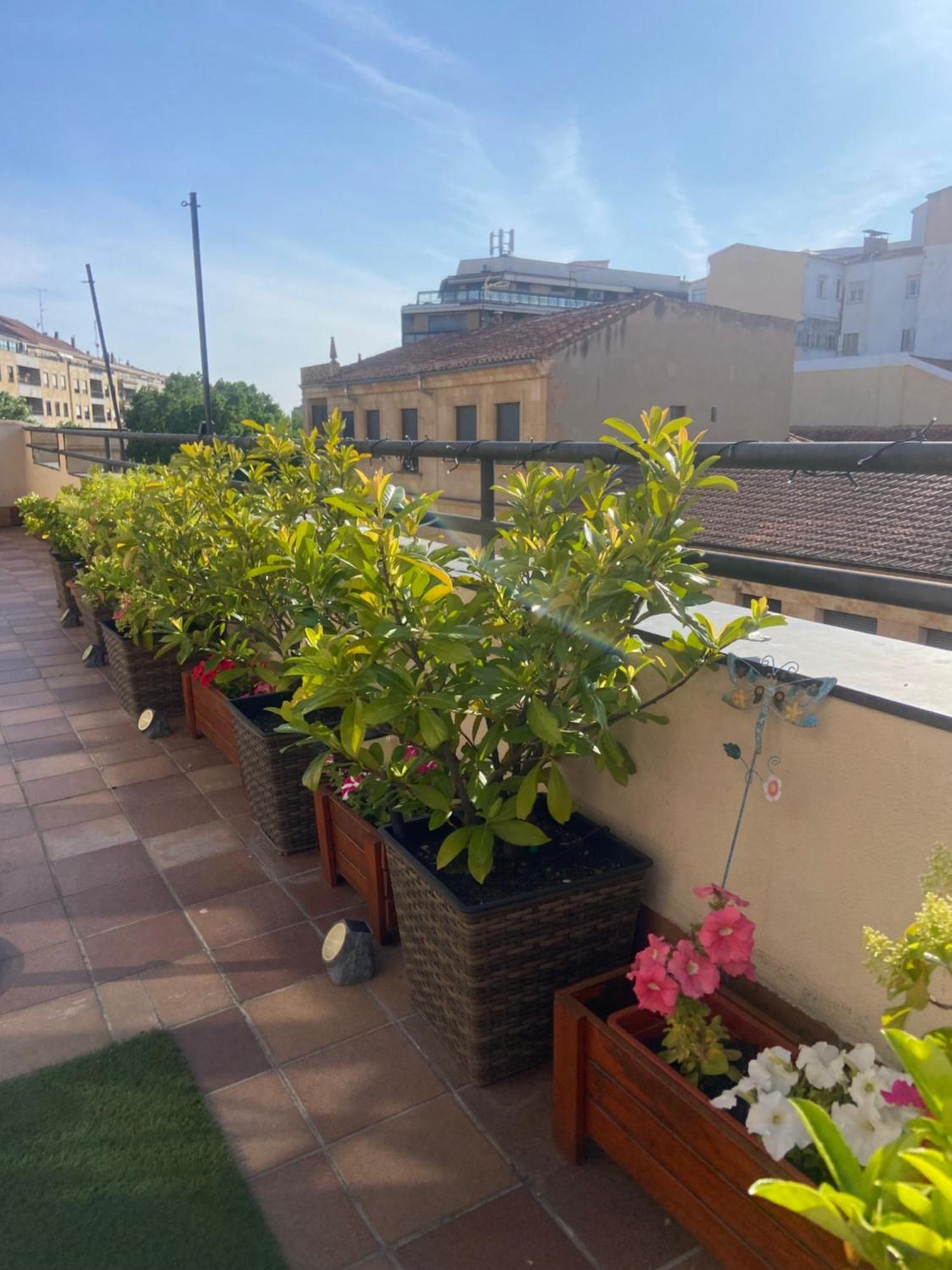 Atico Pta Zamora Larga Estancia 萨拉曼卡 外观 照片
